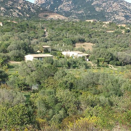Agriturismo Agrisole Olbia Luaran gambar