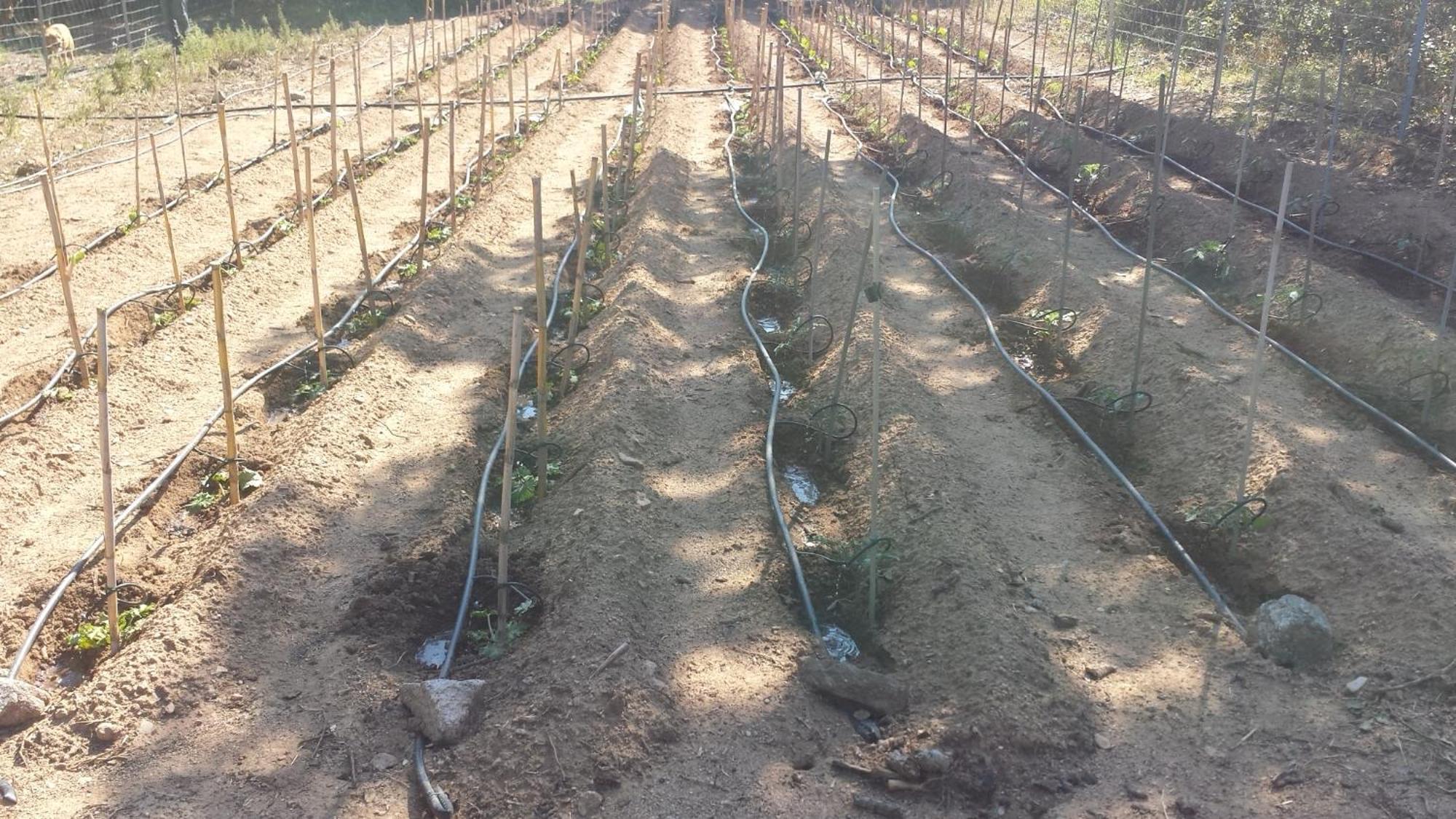 Agriturismo Agrisole Olbia Luaran gambar