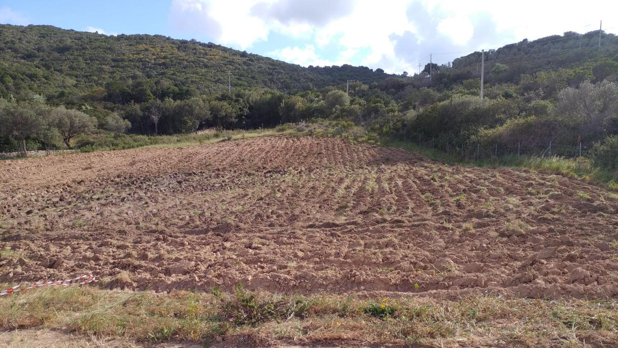 Agriturismo Agrisole Olbia Luaran gambar
