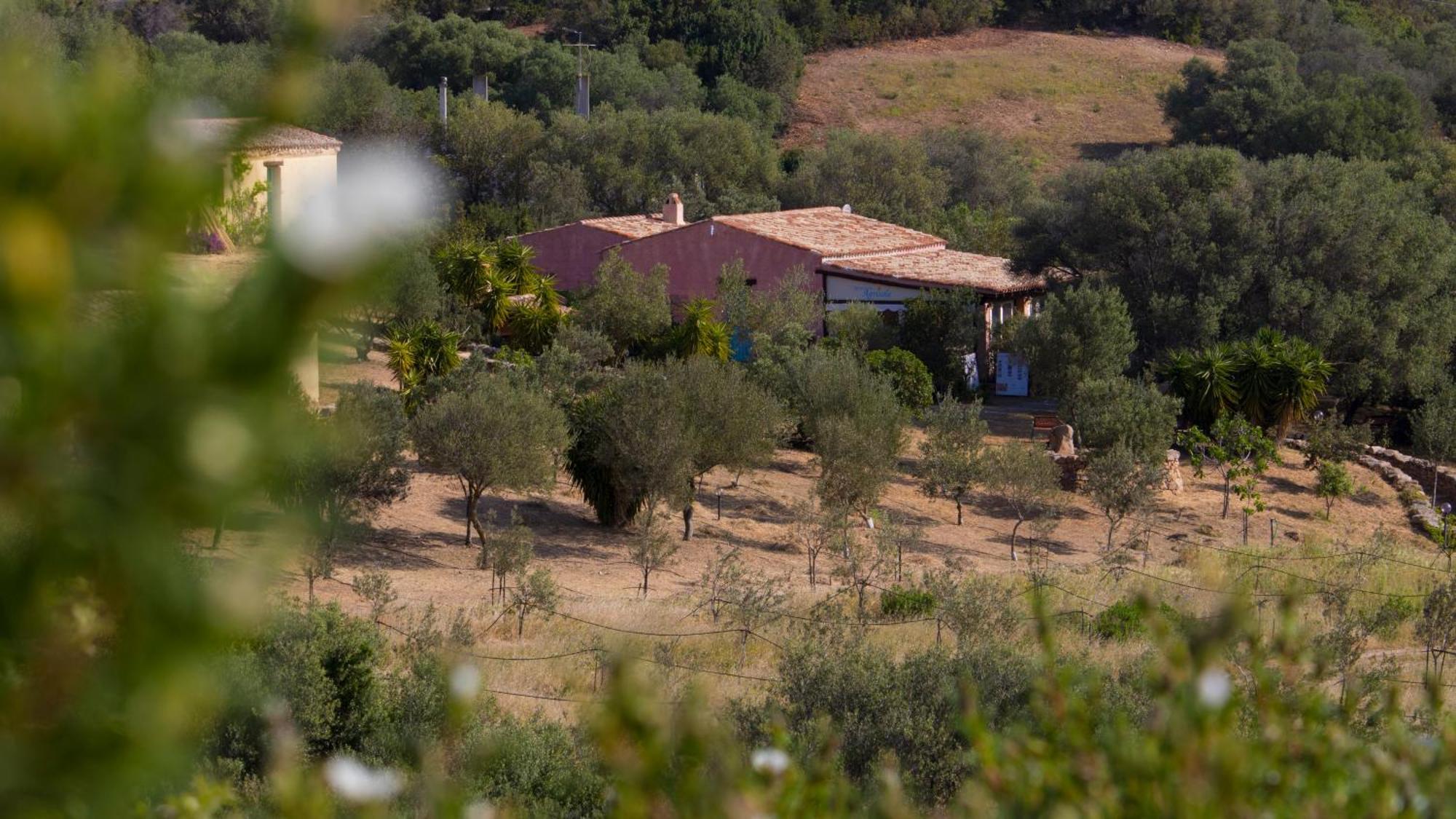 Agriturismo Agrisole Olbia Luaran gambar