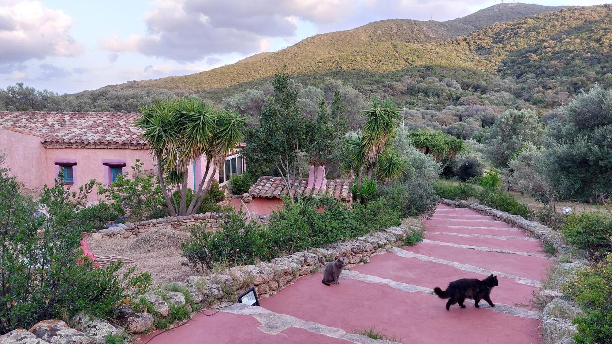 Agriturismo Agrisole Olbia Luaran gambar