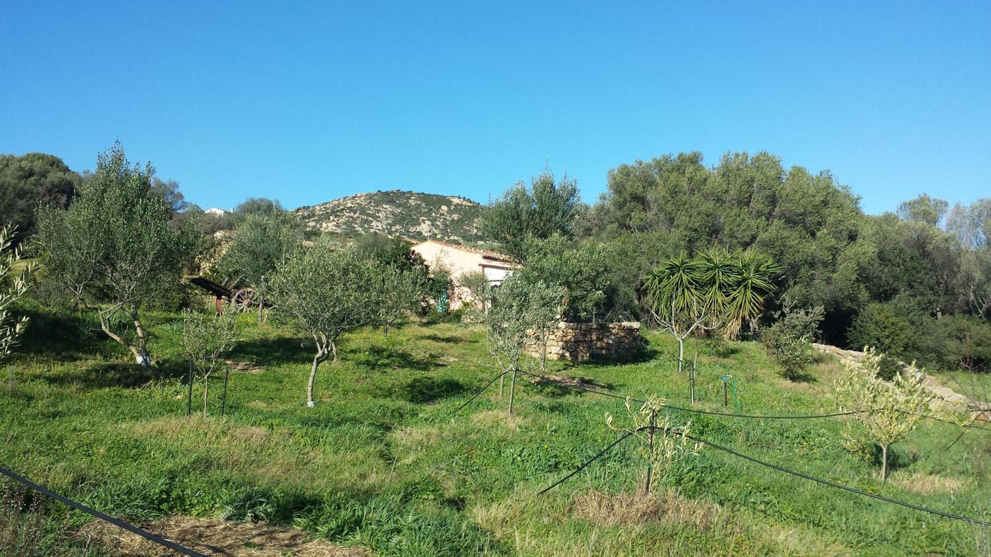 Agriturismo Agrisole Olbia Luaran gambar