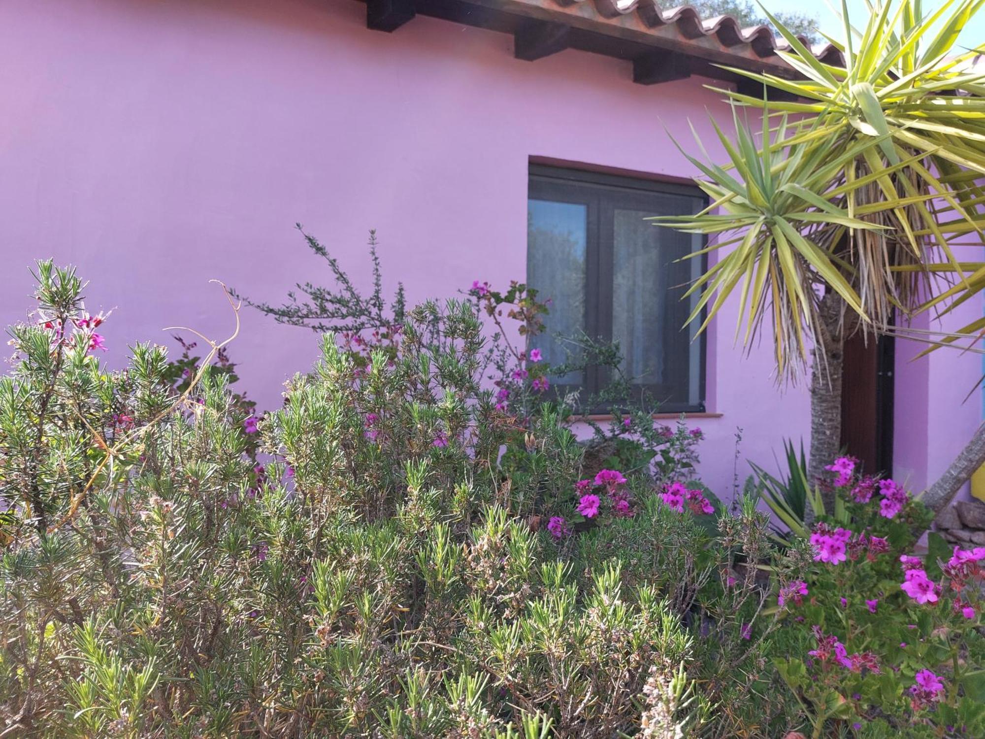 Agriturismo Agrisole Olbia Luaran gambar