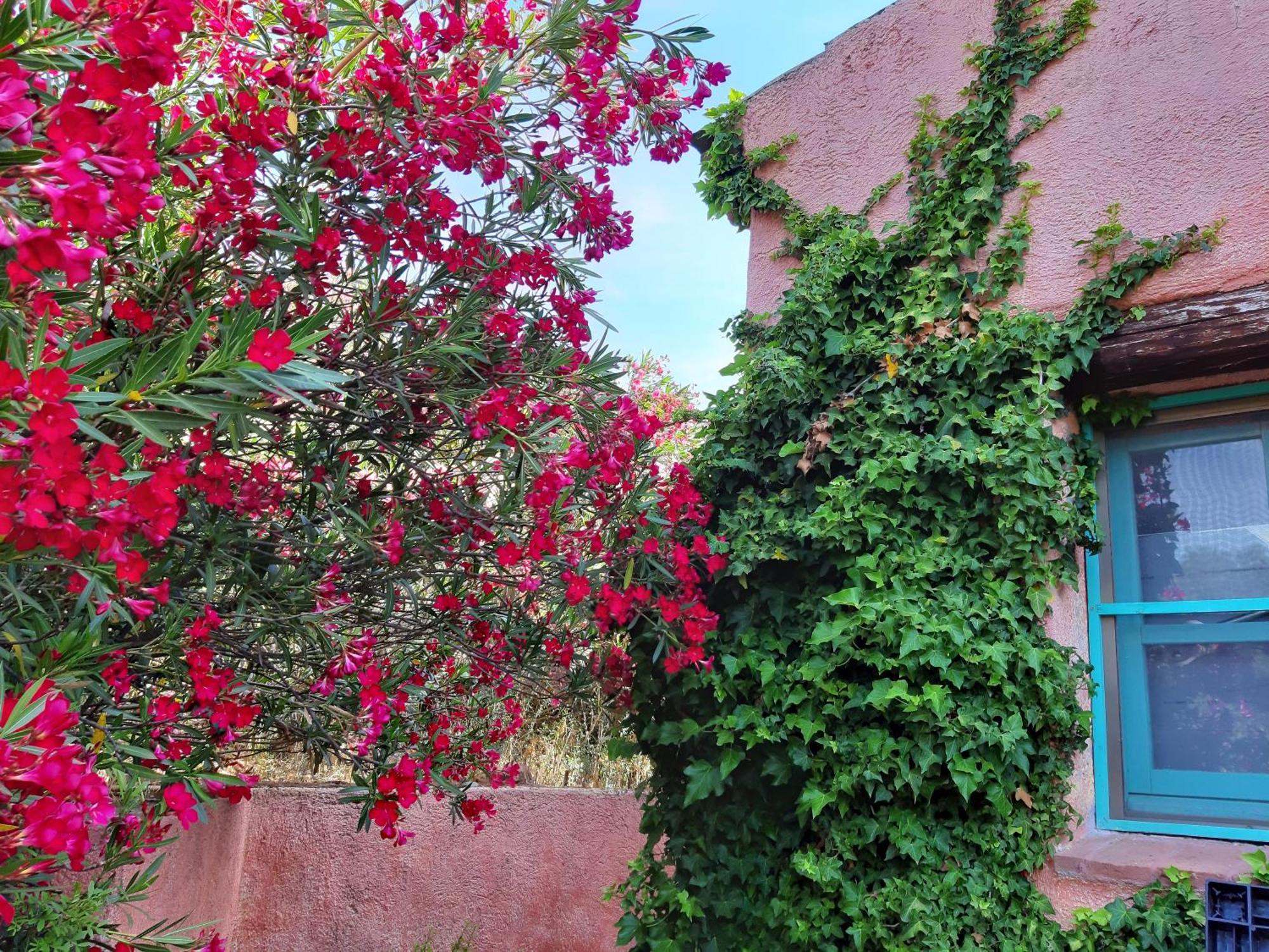 Agriturismo Agrisole Olbia Luaran gambar